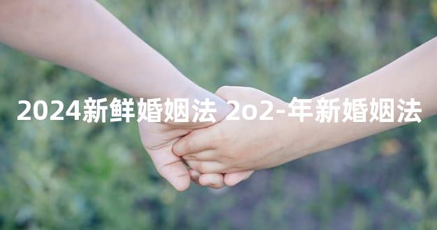 2024新鲜婚姻法 2o2-年新婚姻法